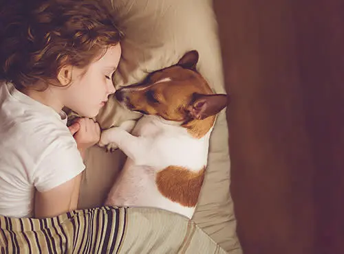 Kind en hondje slapen ongestoord, dankzij de effectieve geluiddemping in de kinderkamer.